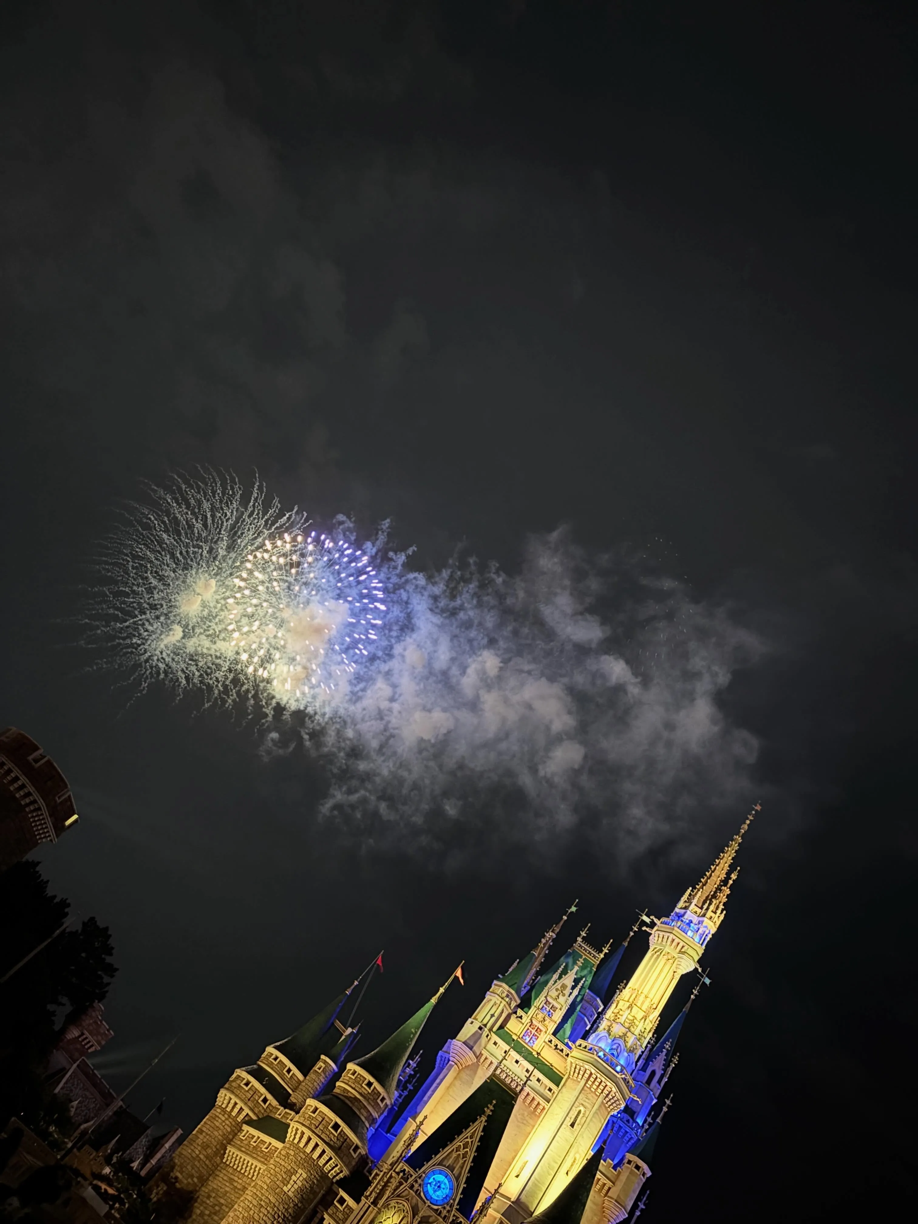 GW前にディズニーに行ってきました。